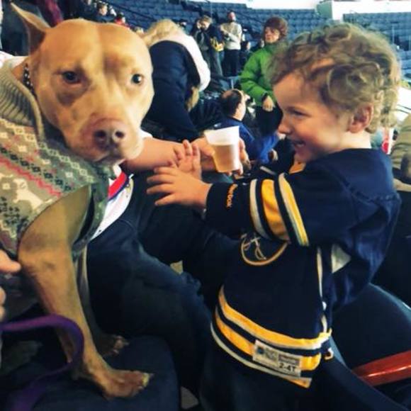 Meet your Posher, Nicci - Picture 1 of 1